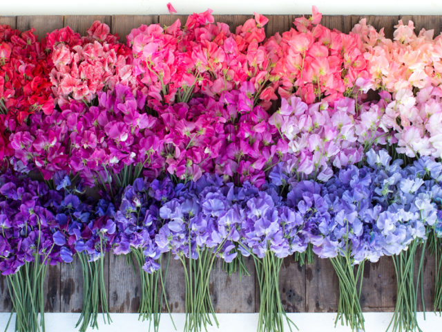 Floret Blog