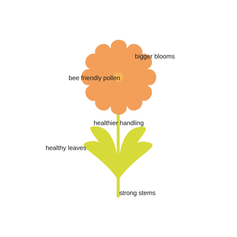 reasons for going no till