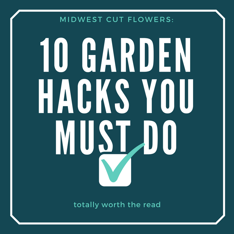 garden hacks you must do