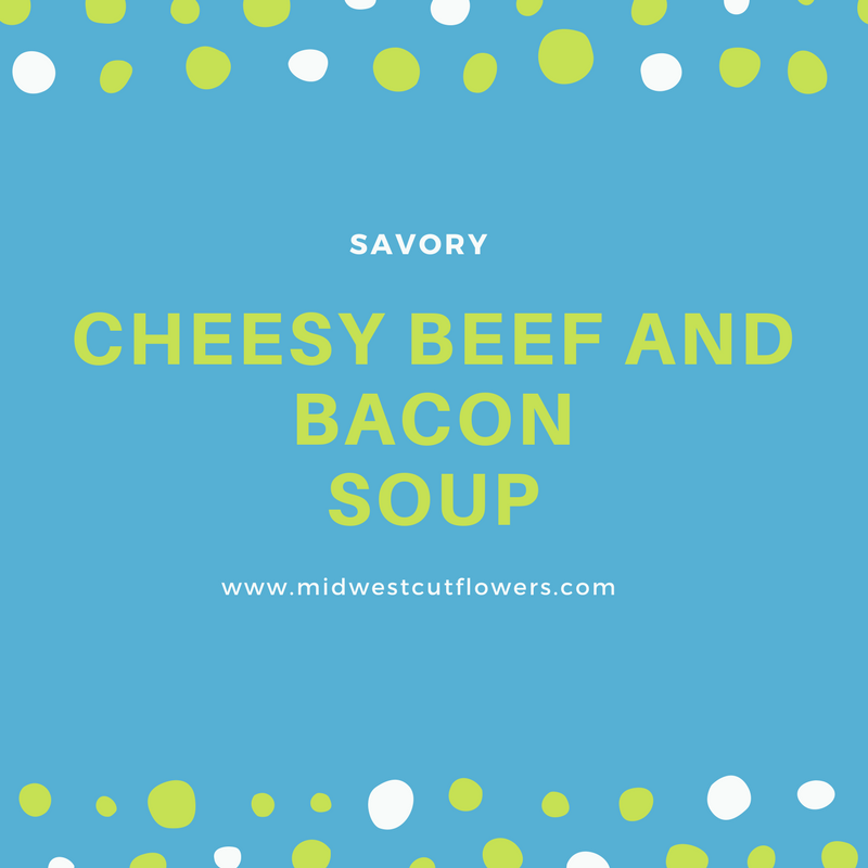 cheesy beef and bacon soup