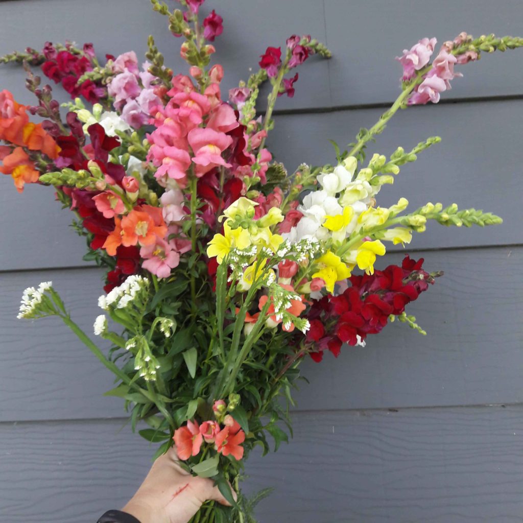 fresh cut flower bouquet
