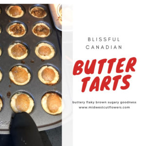 Canadian butter tarts