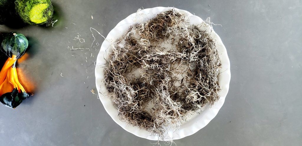 spanish moss base