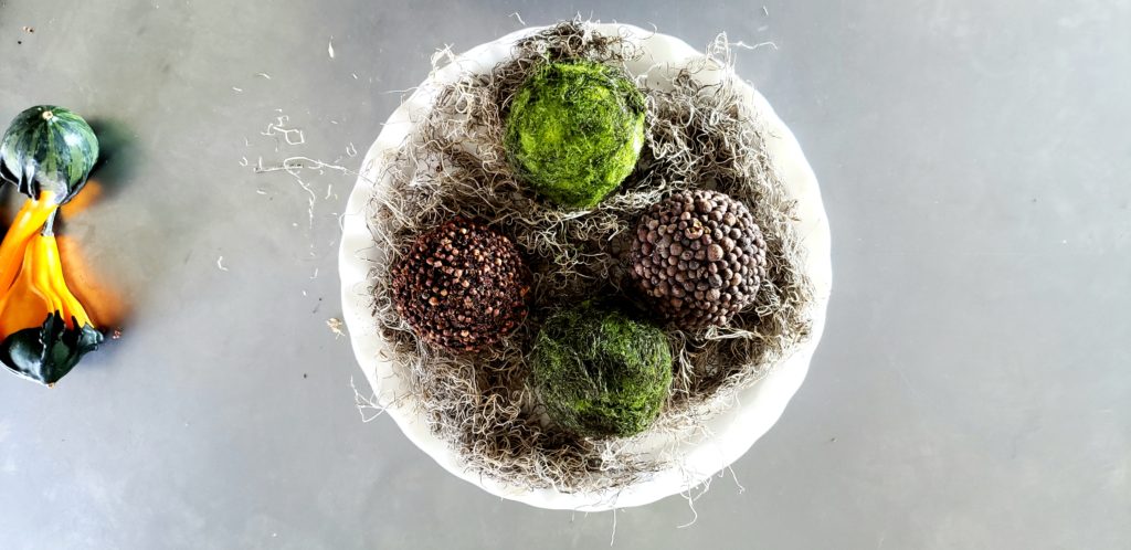 moss balls