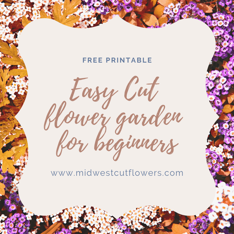 Easy Cut Flower Garden for beginners with free printable plan