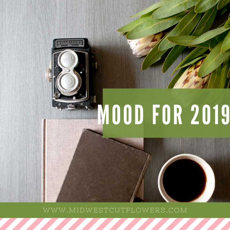 mood board 2019