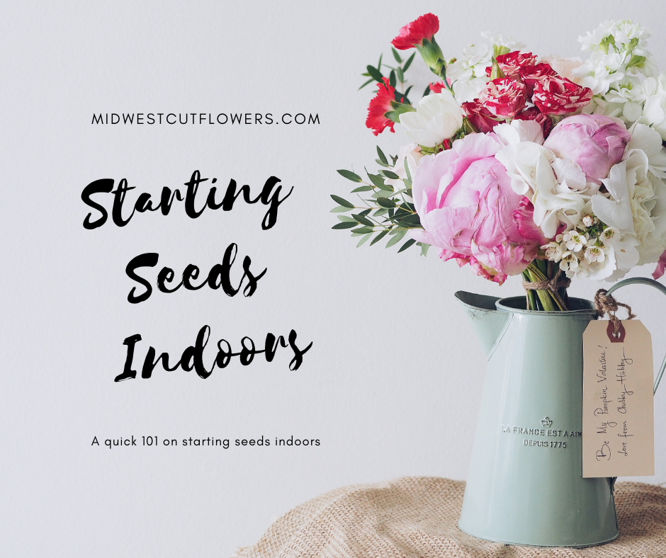 Starting seeds DIY
