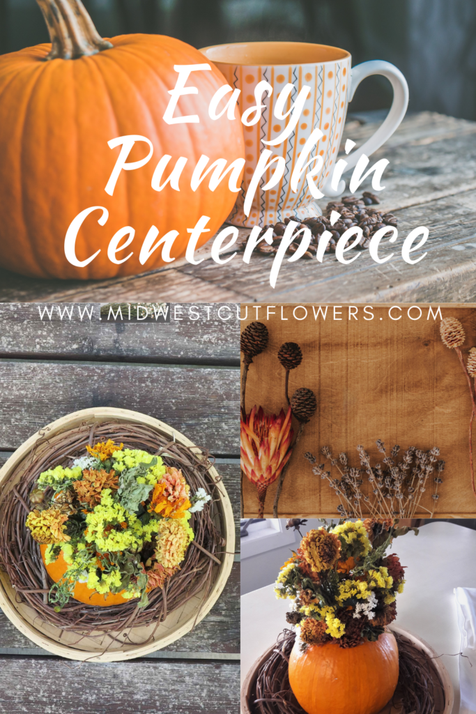 Pumpkin with dried flowers on top
