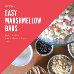 Easy Marshmellow bars