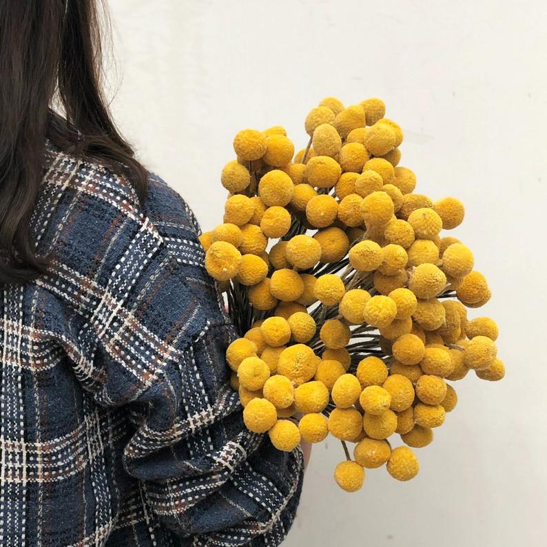 Lady holding billy balls