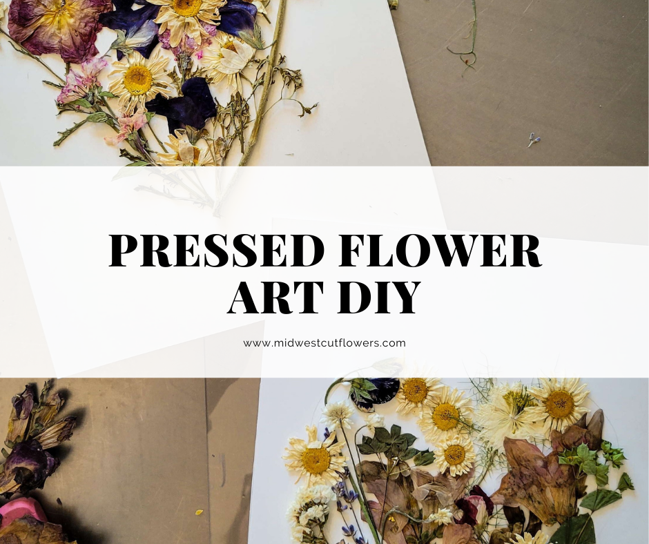 Pressed flower art title photo pressed flowers on paper