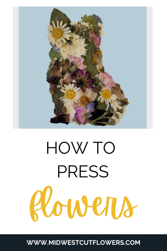 How to use pressed flowers art tutorial.
